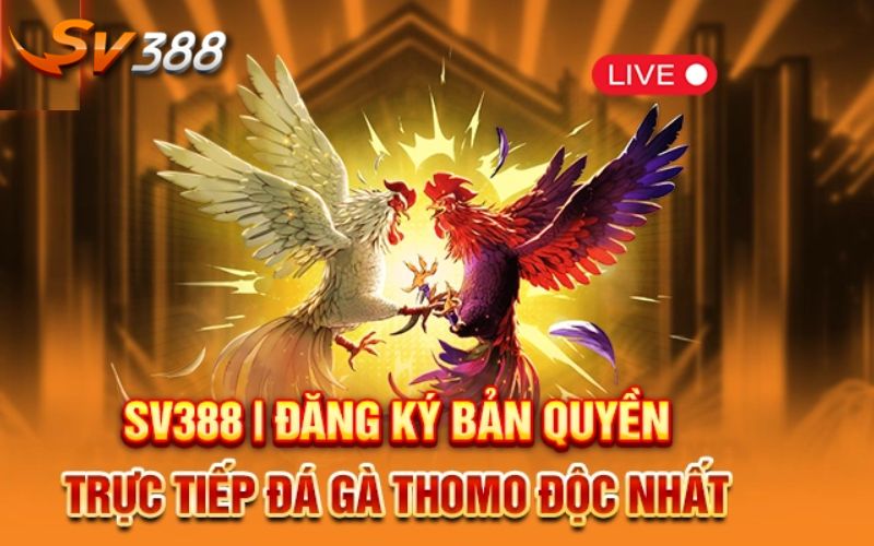 Những câu hỏi xoay quanh quy trình đăng ký đá gà thomo SV388 