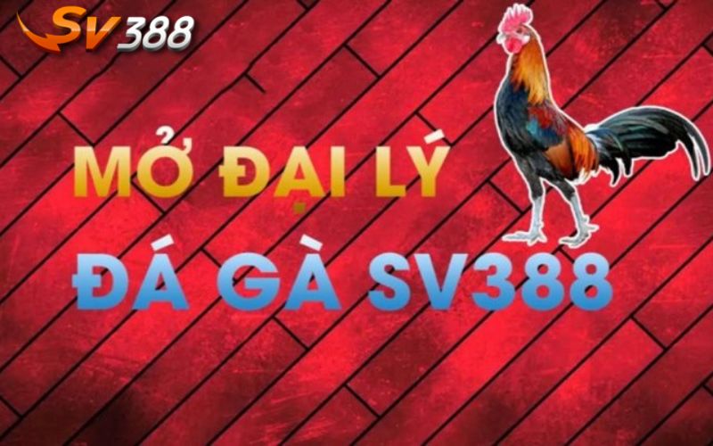 Các bước đăng ký tài khoản trở thành đại lý tại nhà cái đá gà SV388 