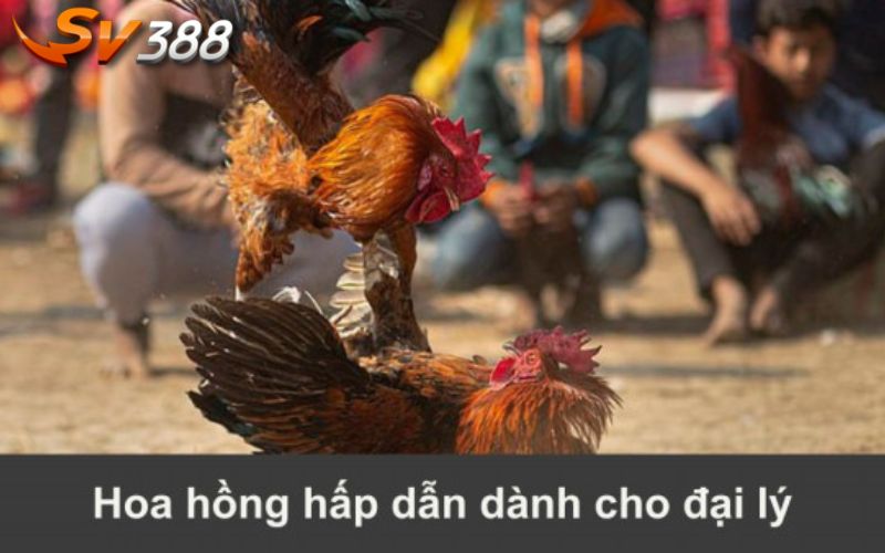 Các phương pháp tính tiền hoa hồng cho đại lý tại SV388 