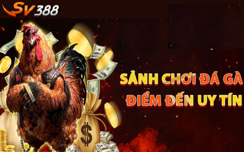 Giới thiệu về sảnh game cá cược đá gà cựa sắt tại SV388 