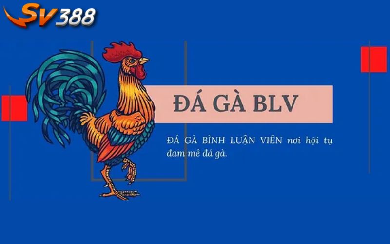 Hình thức đá gà bình luận viên tại SV388 