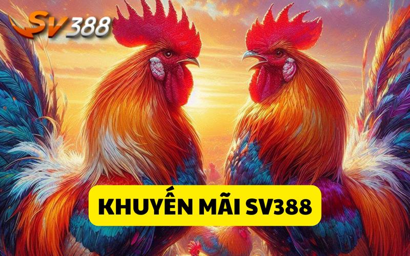 Cách tham gia khuyến mãi của nhà cái SV388