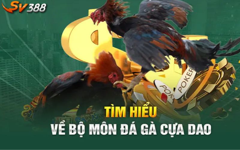 Thông tin về đá gà cựa dao