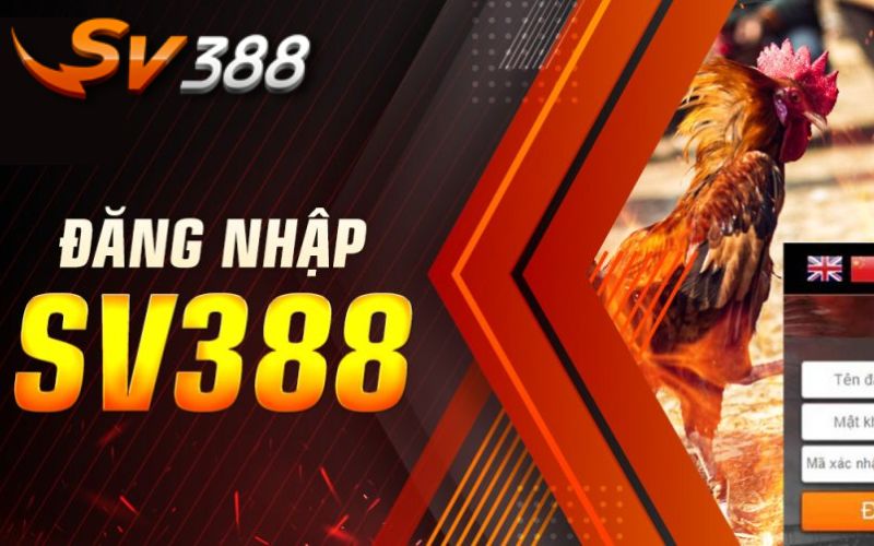 Lưu ý quan trọng khi đăng nhập hệ thống Sv388